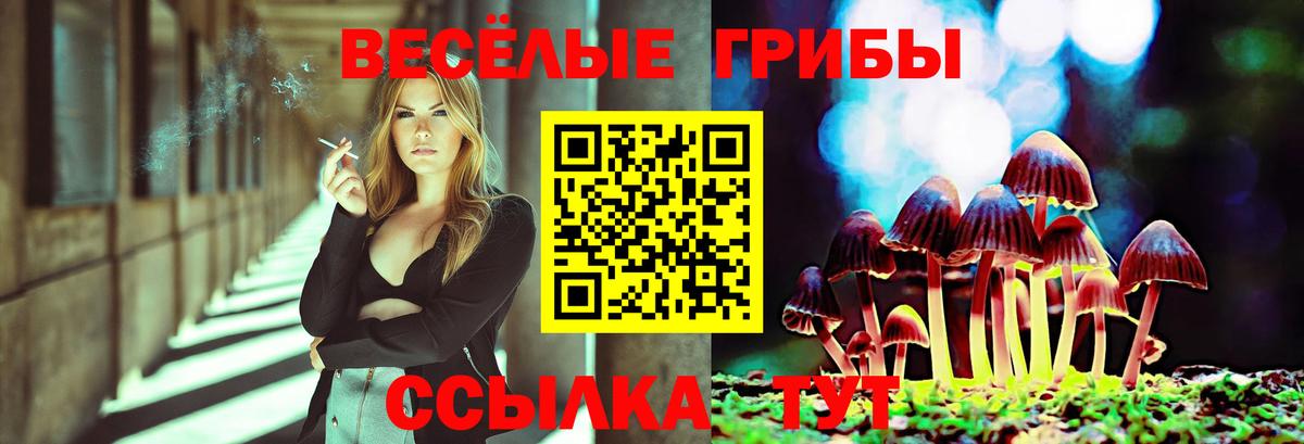 Псилоцибиновые грибы MAGIC MUSHROOMS  Галлюциногенные грибы Magic Shrooms  Вход с VPN  Новый Уренгой 